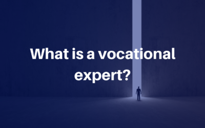 What is a vocational expert?